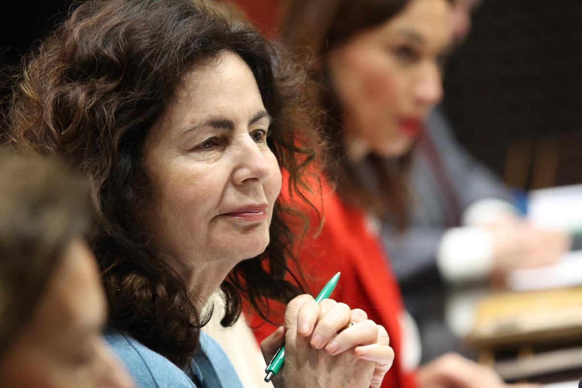 La consejera de Hacienda, Matilde Asián, durante su comparecencia en el Parlamento.