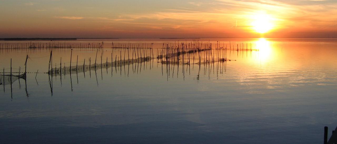 Los humedales españoles siguen amenazados por la mala gestión del agua, según las ONG