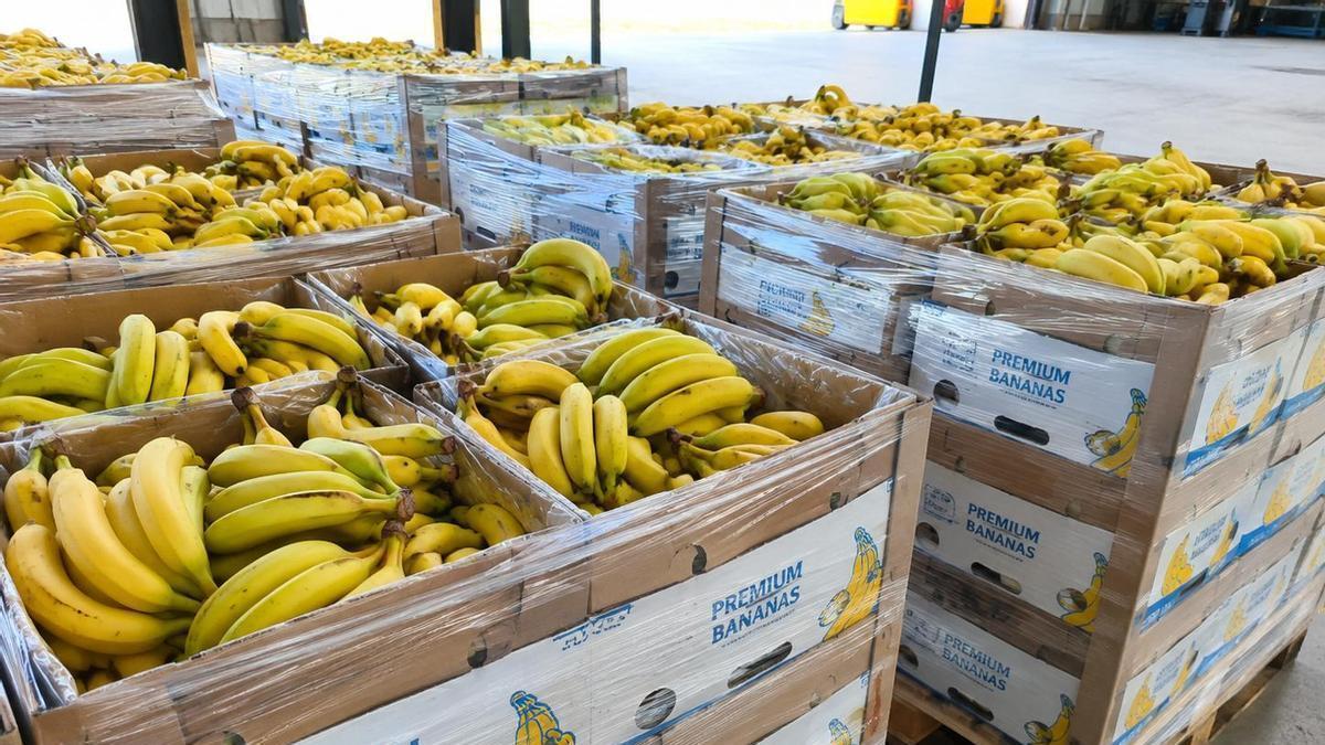 Unas cajas con bananas.