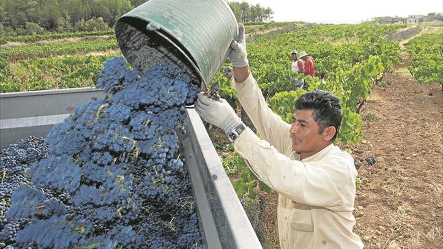 Los aranceles de EEUU se ceban en el vino y el aceite españoles
