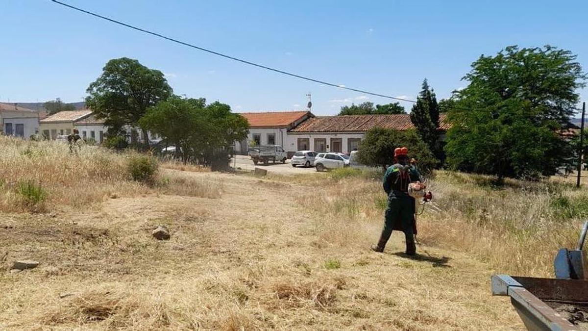 Plasencia refuerza los desbroces ante el riesgo de incendios tras las lluvias.