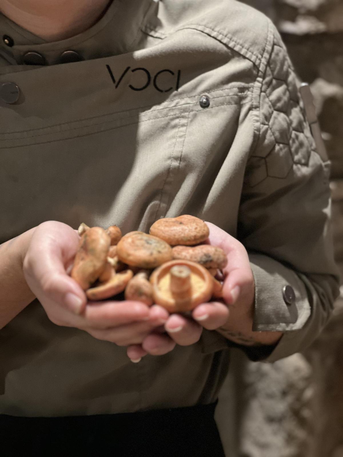 Voci Gastrovinoteca