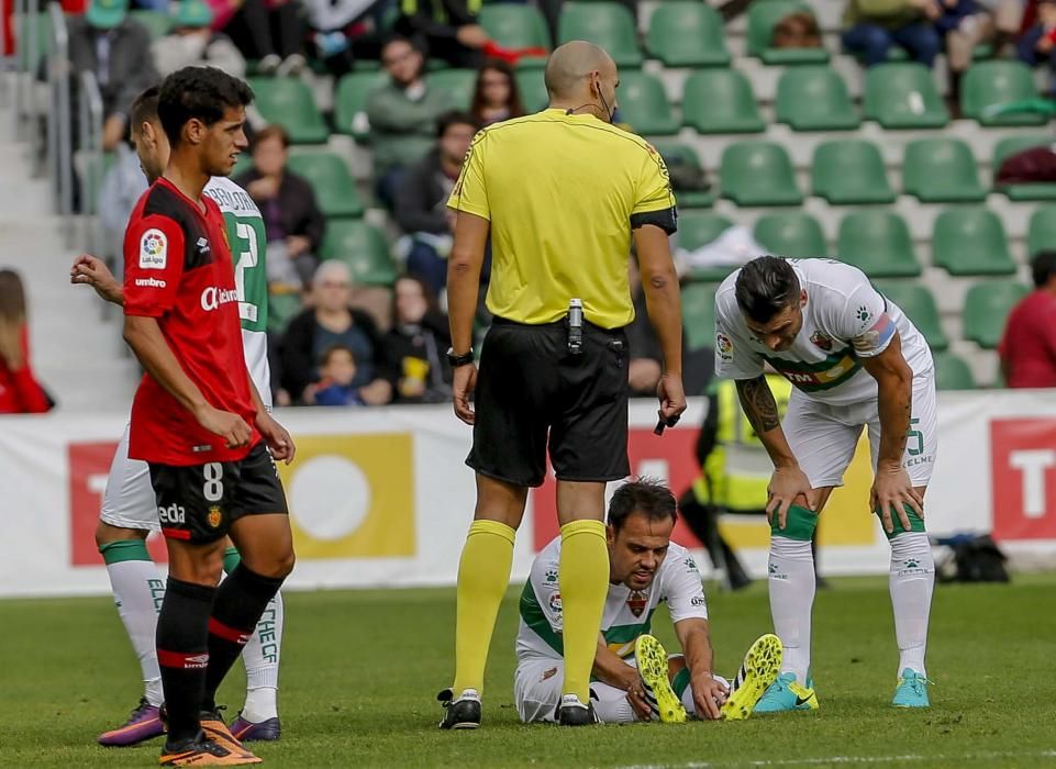 Elche - Mallorca