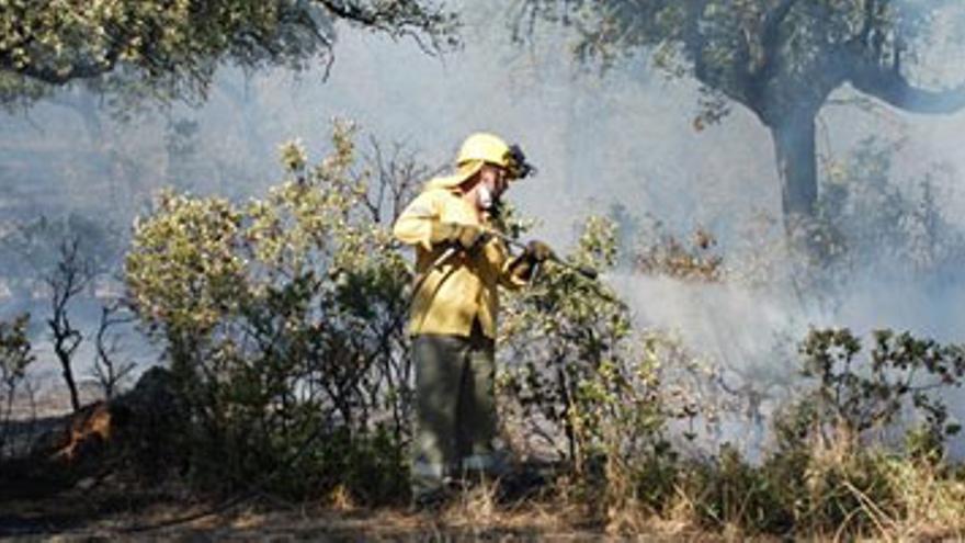 La superficie quemada este año en Extremadura en incendios forestales se ha reducido un 80%