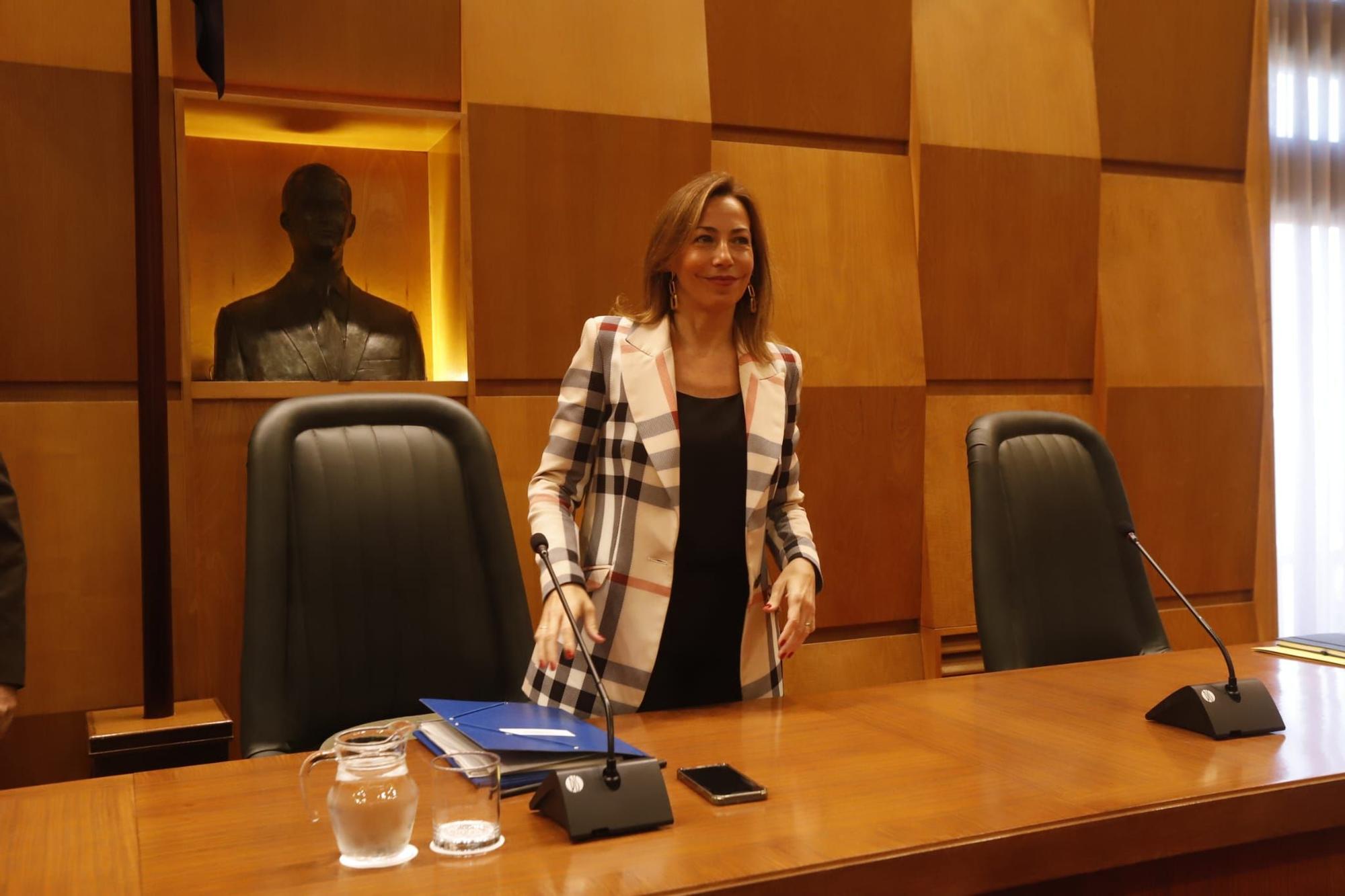 Pleno en el Ayuntamiento de Zaragoza con protesta contra la Ley de Amnistía y Pedro Sánchez