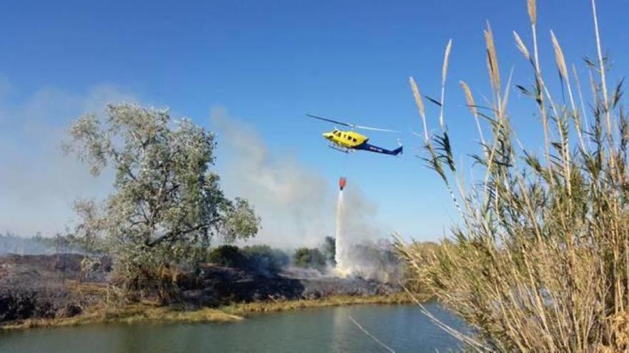 Nuevo incendio en los campos abandonados de Cullera