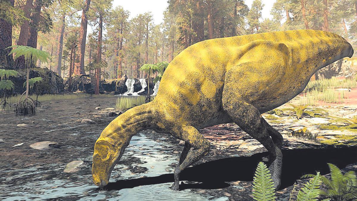 El Portellsaurus sosbaynati, el dinosaurio hallado en Portell, será protagonista de la apertura, el viernes, del Simposio de Naturaleza y Fotografía de Vila-real.