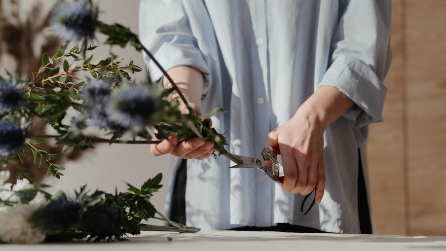 ¿Las plantas sufren? Científicos descubren que &#039;gritan&#039; cuando las cortan