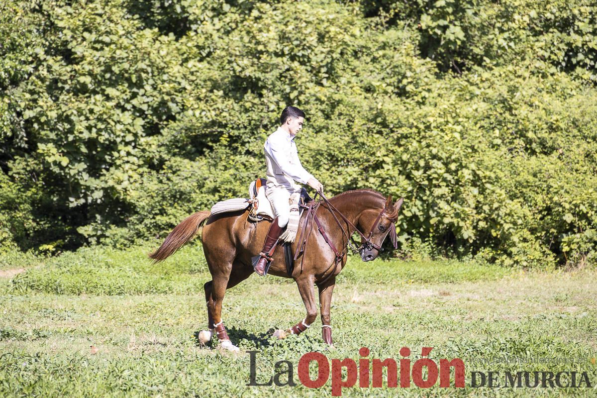 Romería de los Caballos del Vino de Caravaca, en imágenes
