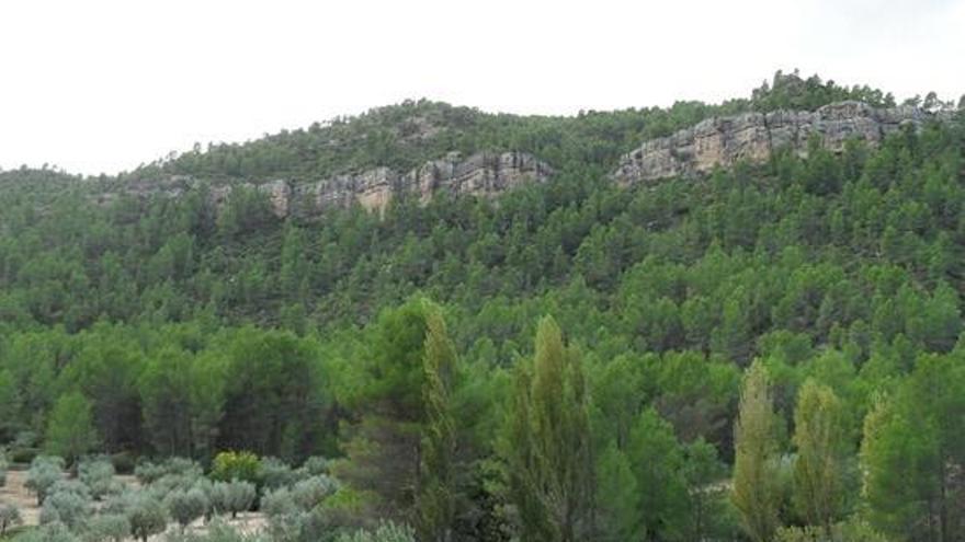 Imagen de la reserva de las Hoces del Cabriel.