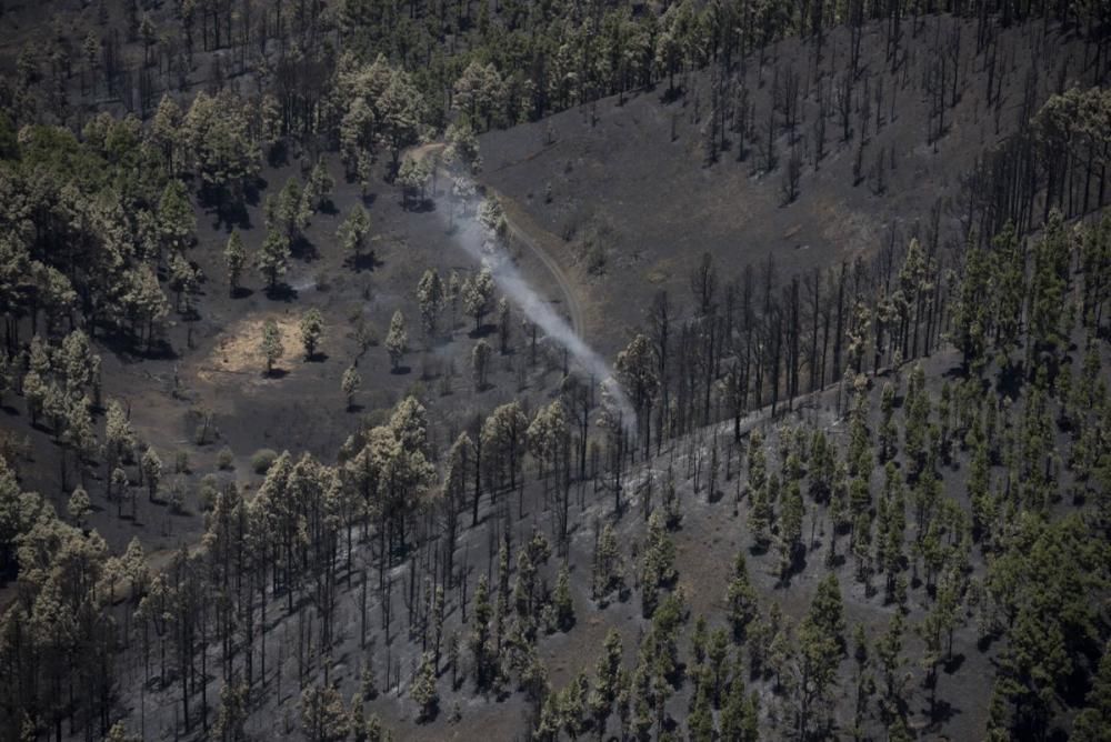 Incendio forestal en la zona de Montaña de Jedey, en La Palma