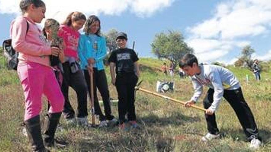 La siembra educativa