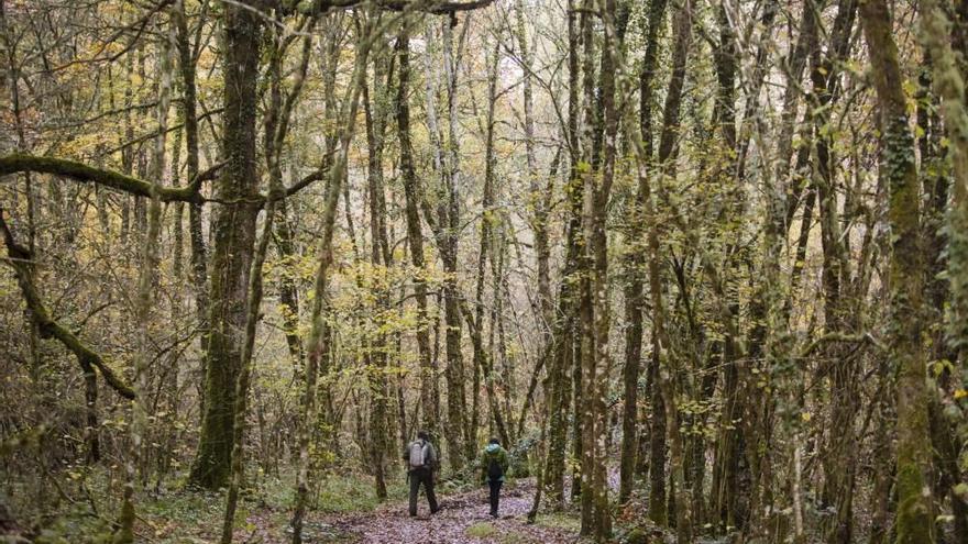 Las 100 fotos que demuestran que el otoño es la mejor época para conocer Asturias