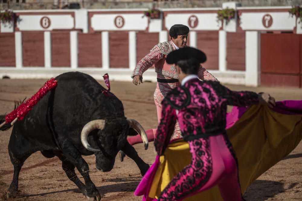 Corrida de toros de San Pedro