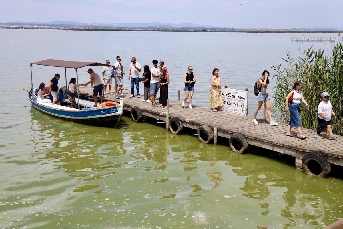 La salinización avanza en l'Albufera