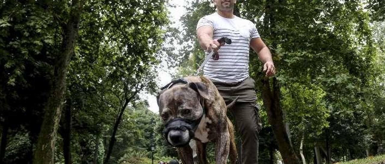 Un hombre pasea a su perro en el Campo San Francisco.