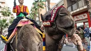 El Mig Any más multitudinario de San Vicente del Raspeig