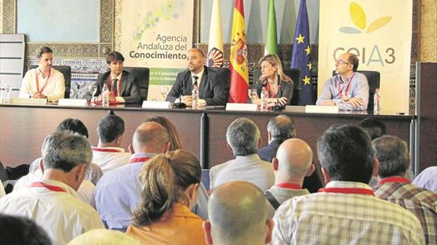 La Junta promueve para el sector del olivar soluciones innovadoras