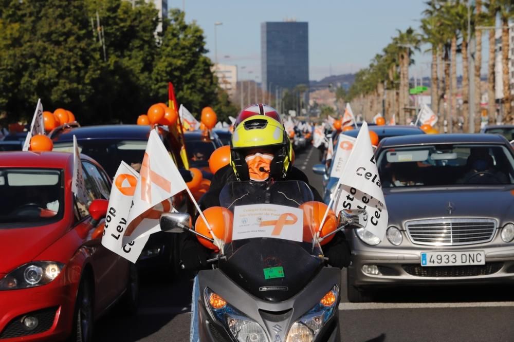 El centro de Murcia vuelve a llenarse de vehículos para protestar contra la Ley Celaá
