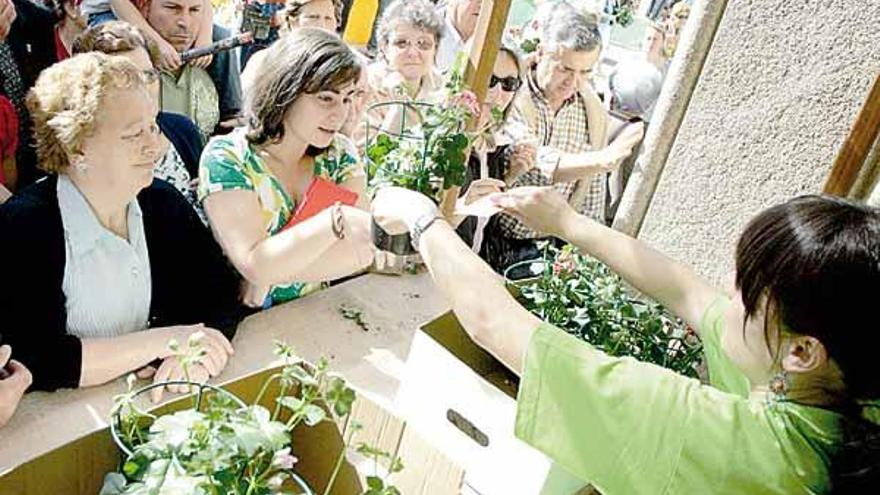 Entrega de plantas en A Ferrería.