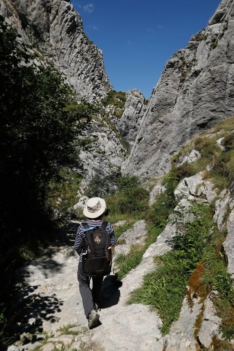 Rutas por Asturias: por las Foces de El Pino