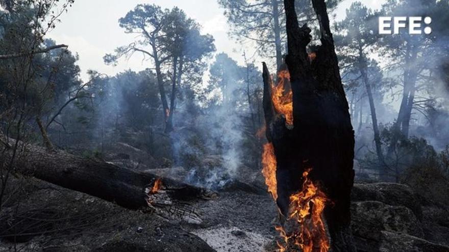 Un incendio de unas 1.000 hectáreas sigue activo en Portugal a 20 kilómetros de España