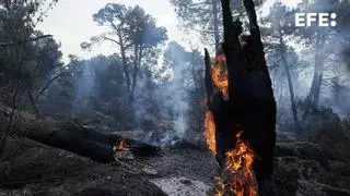 Un incendio de unas 1.000 hectáreas sigue activo en Portugal a 20 kilómetros de España