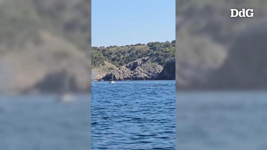 Albiren tres exemplars de balena rorqual des d'una barca a la costa del Montgrí, a tocar de les Illes Medes