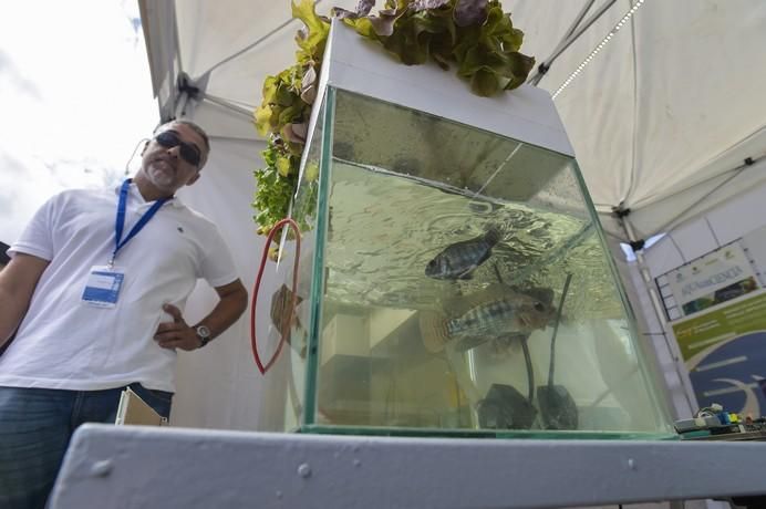 Segundo día de la feria del mar FIMAR