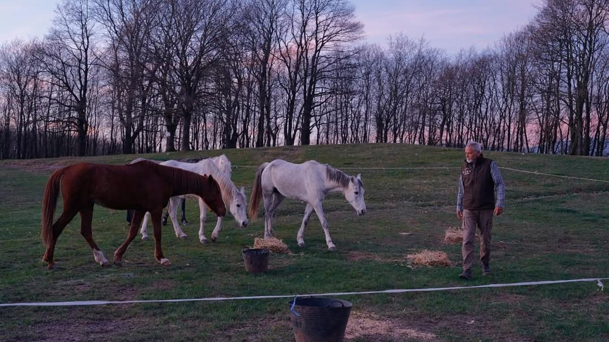Así ha sido el viaje de un extremeño a La Meca a caballo