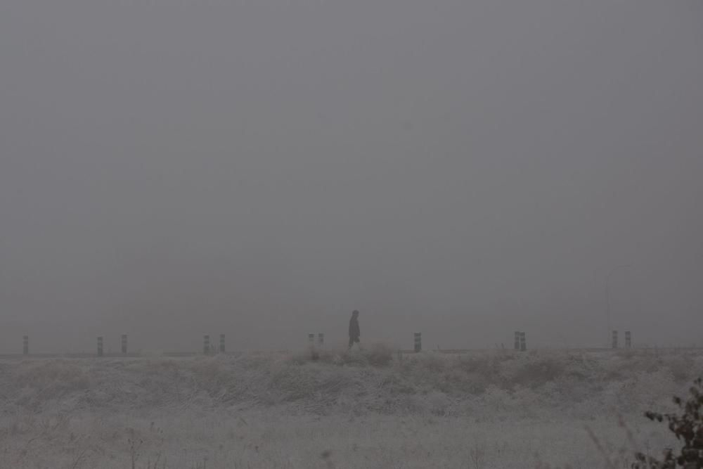 Zamora, cubierta de blanco por la cencellada