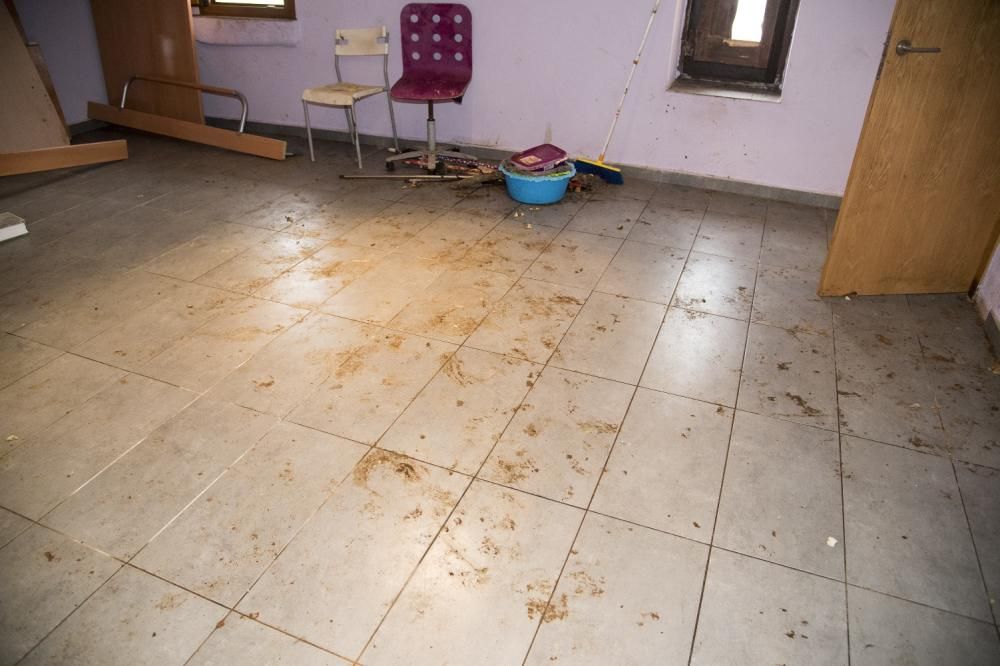 Interior de la casa que uns propietaris van llogar a una dona que hi tenia 41 gossos