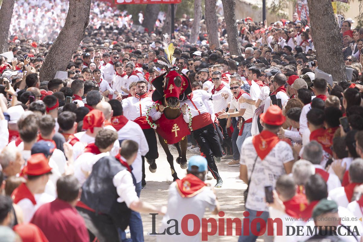 Así se ha vivido la carrera de Los Caballos del Vino en Caravaca