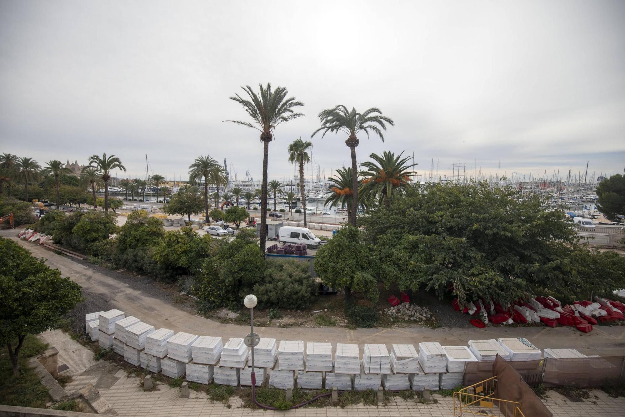 Un año de obras en el Paseo Marítimo de Palma