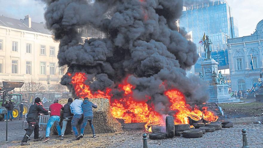El sector urge a la Xunta actuar contra el jabalí ante la peste porcina