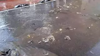 Llega una nueva borrasca a Ibiza: así afectará a la isla