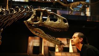 El mayor dinosaurio que ha pisado la Tierra, ahora en Barcelona