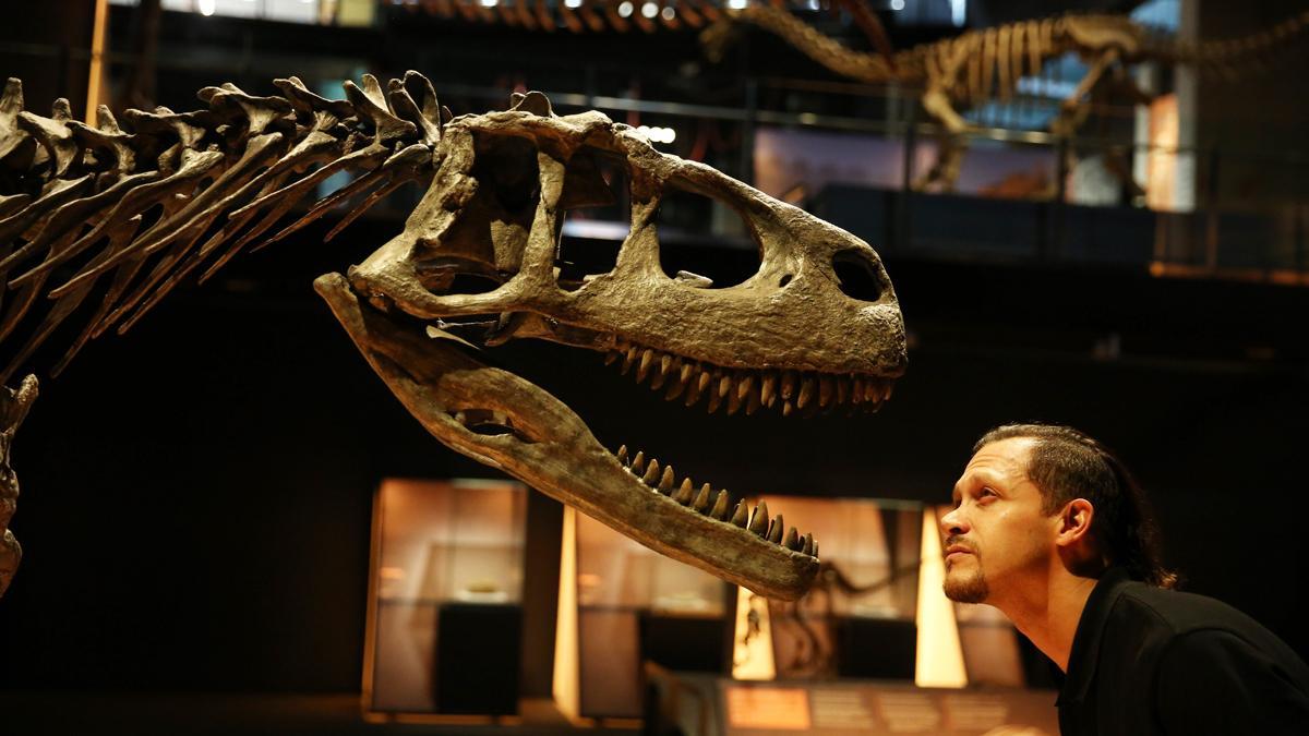 Exposición 'Dinosaurios de la Patagonia' en CosmoCaixa Barcelona