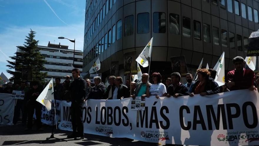 Protesta de COAG ante la Junta para exigir control de lobos