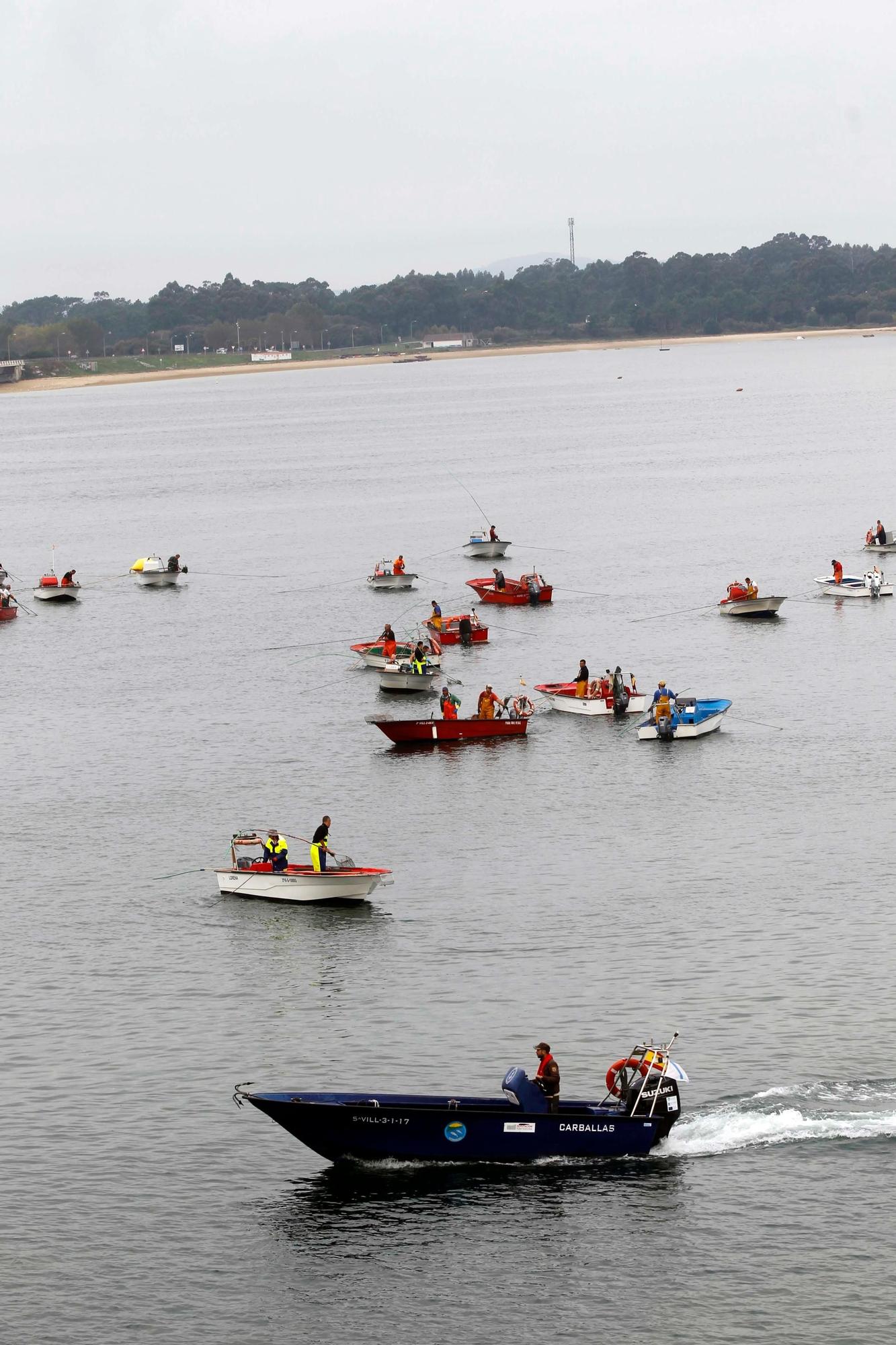 Así comenzó otra preocupante y desconsoladora campaña para el libre marisqueo en Arousa.