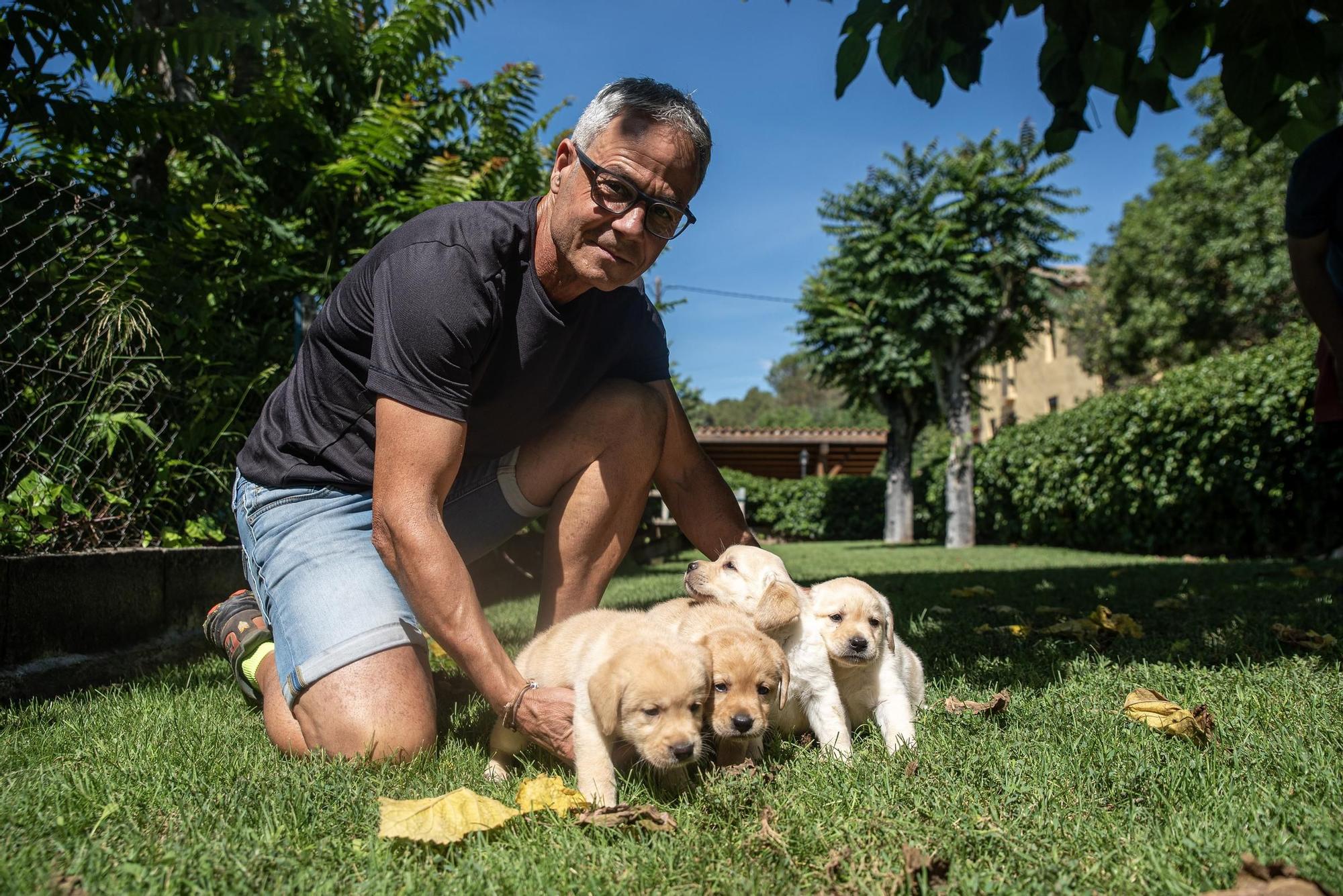 Residències canines: Goscan de Fonollosa