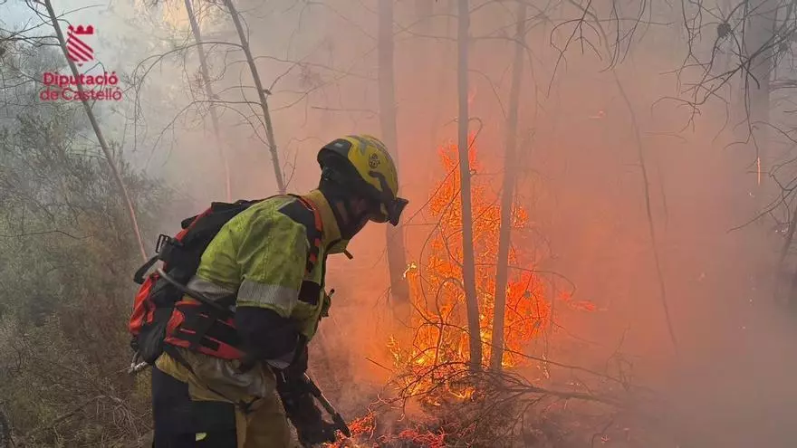 Los bomberos del Consorcio de Castellón trabajan en el incendio forestal de l'Alcúdia de Veo