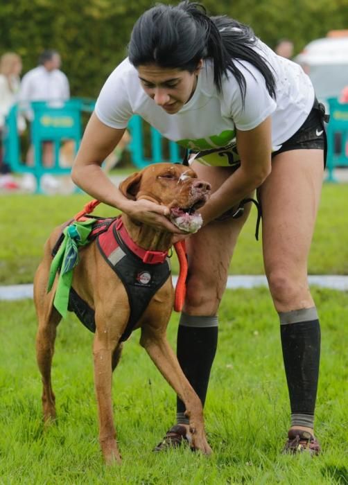 "Can We Run" reúne a más de 400 perros y corredores en el Parque Fluvial de Viesques, en Gijón.