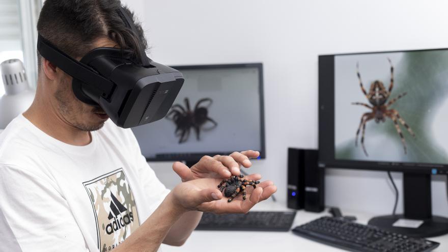 Realidad virtual para vencer la fobia a las cucarachas