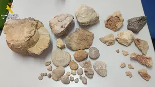 La Guardia Civil de Teruel evita un robo de minerales y fósiles en Villar del Cobo