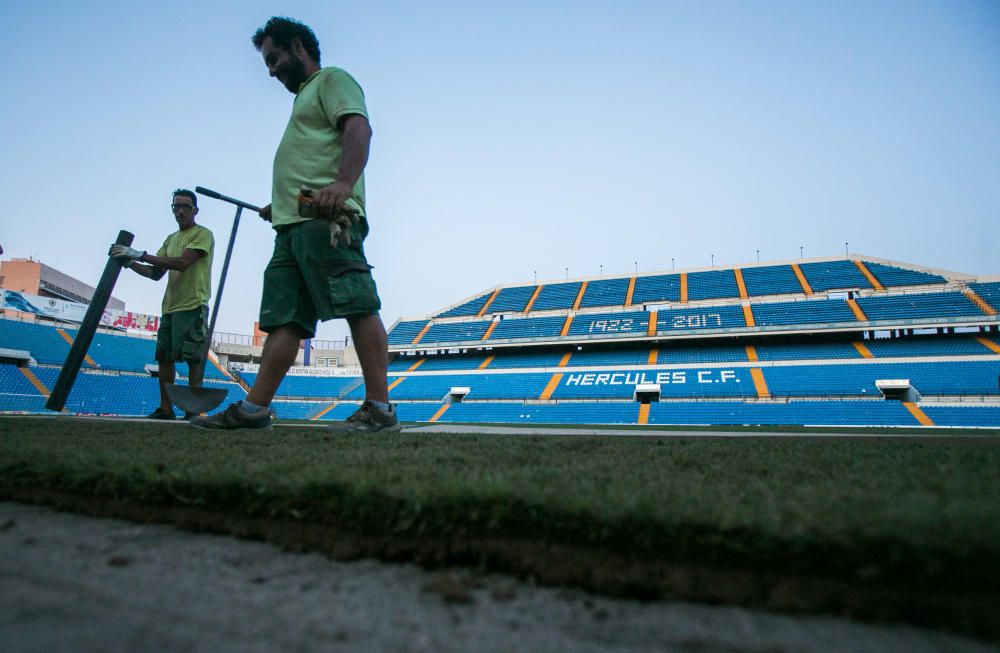 7 años después de la última reposición, el estadio cuenta con un césped de la máxima categoría