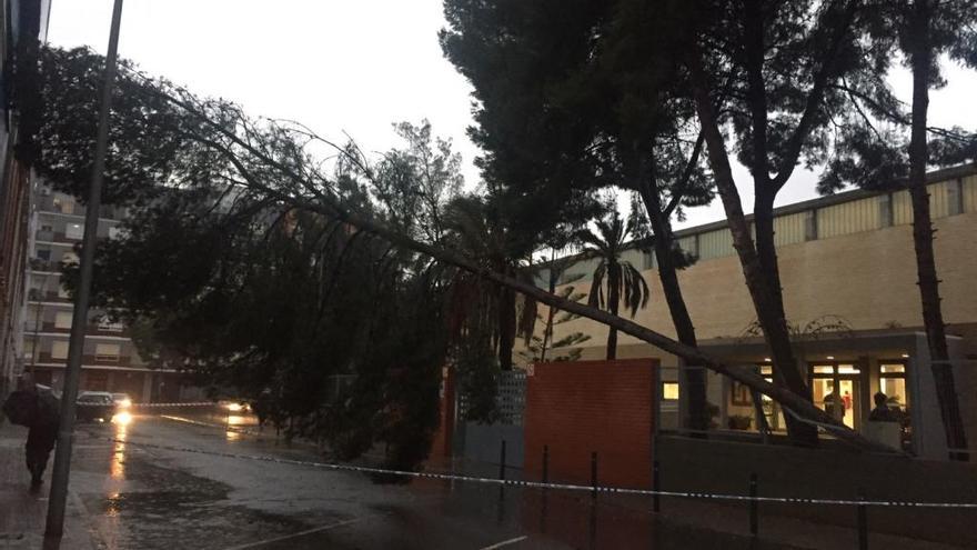 Listado de colegios que han suspendido las clases en la provincia de Castelló