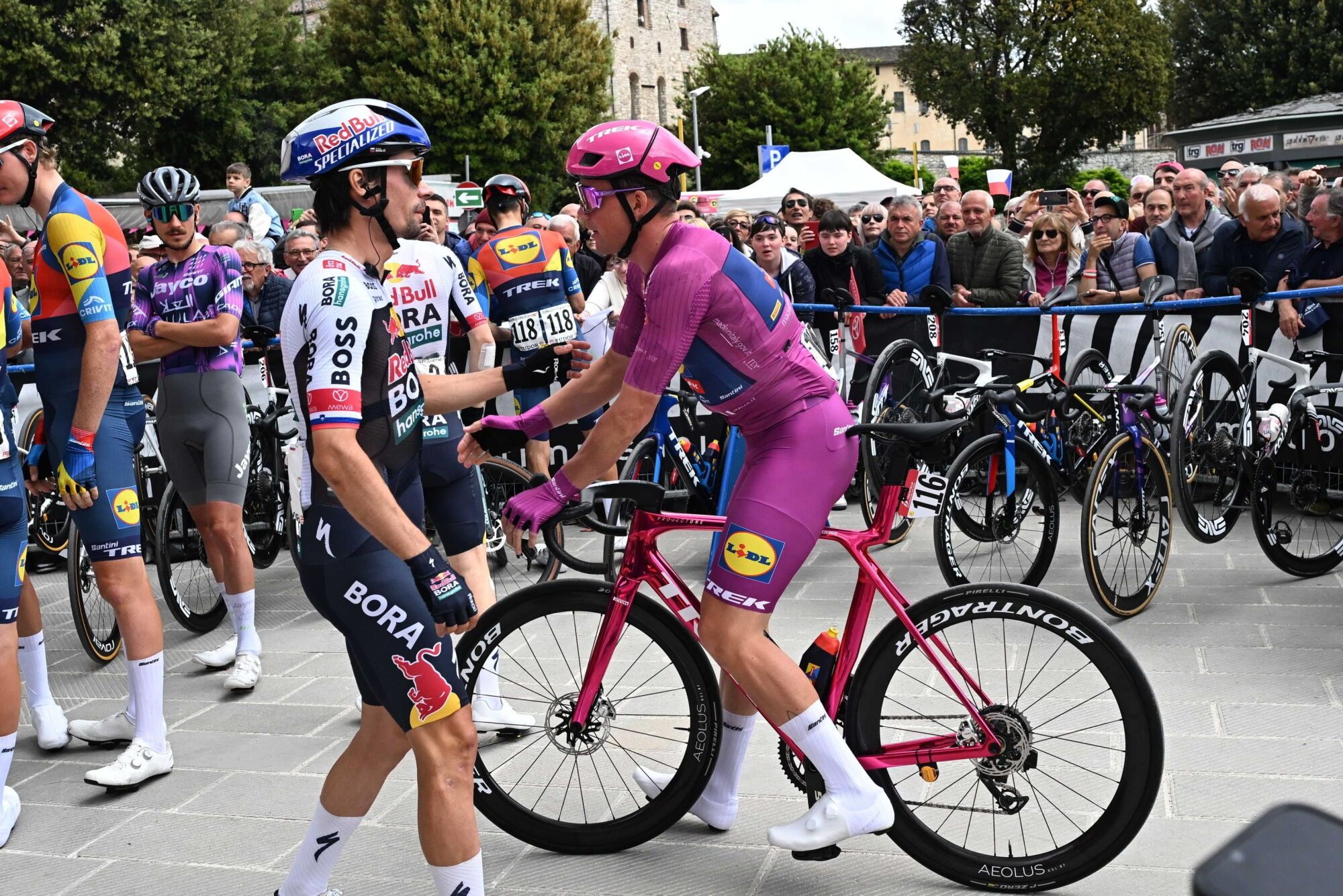 GUBBIO (Italy), 18/05/2025.- Slovenian rider Primoz Roglic of Red Bull - Bora - Hansgrohe team, danish rider Mads Pedersen of Team Lidl - Trek wearing the points classification leader's cyclamen jersey, at the start of 9th stage of the 108 Giro d'Italia 2025, cycling race over 181 km from Gubbio to Siena, Italy, 18 May 2025. (Ciclismo, Italia) EFE/EPA/LUCA ZENNARO