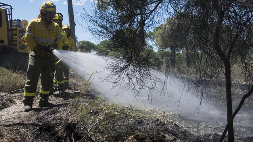 Controlado tras 60 horas de lucha el incendio de Doñana