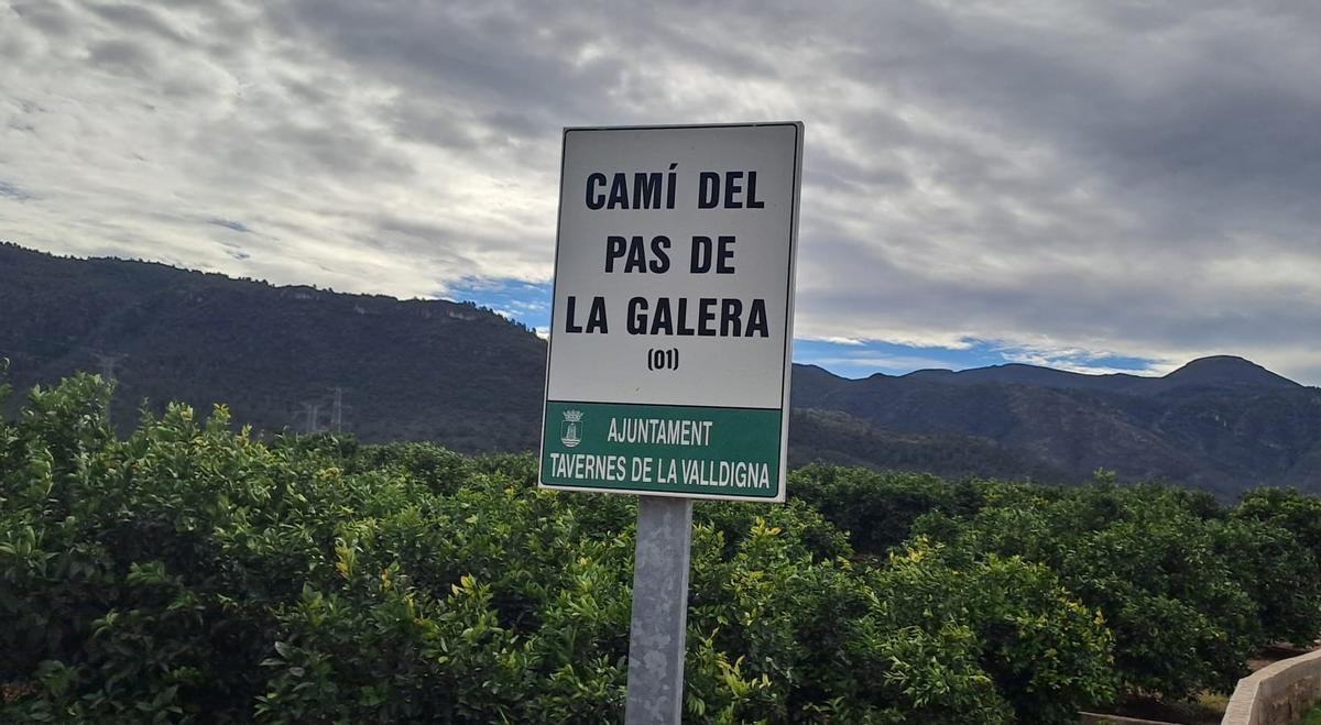 Entorno en el que está prevista la planta solar de Tavernes.